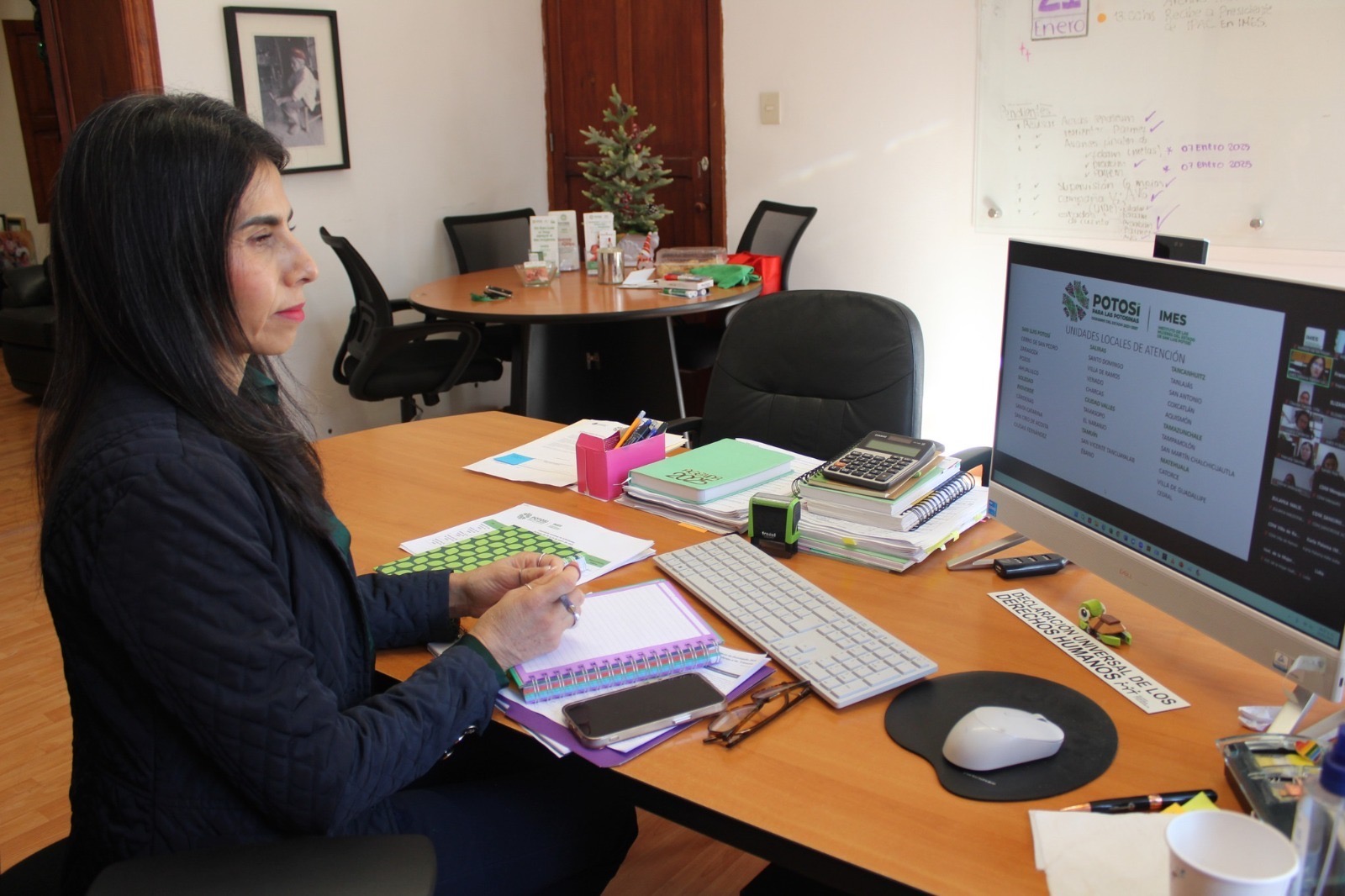 capacitan a profesionistas de las Instancias Municipales de las Mujeres