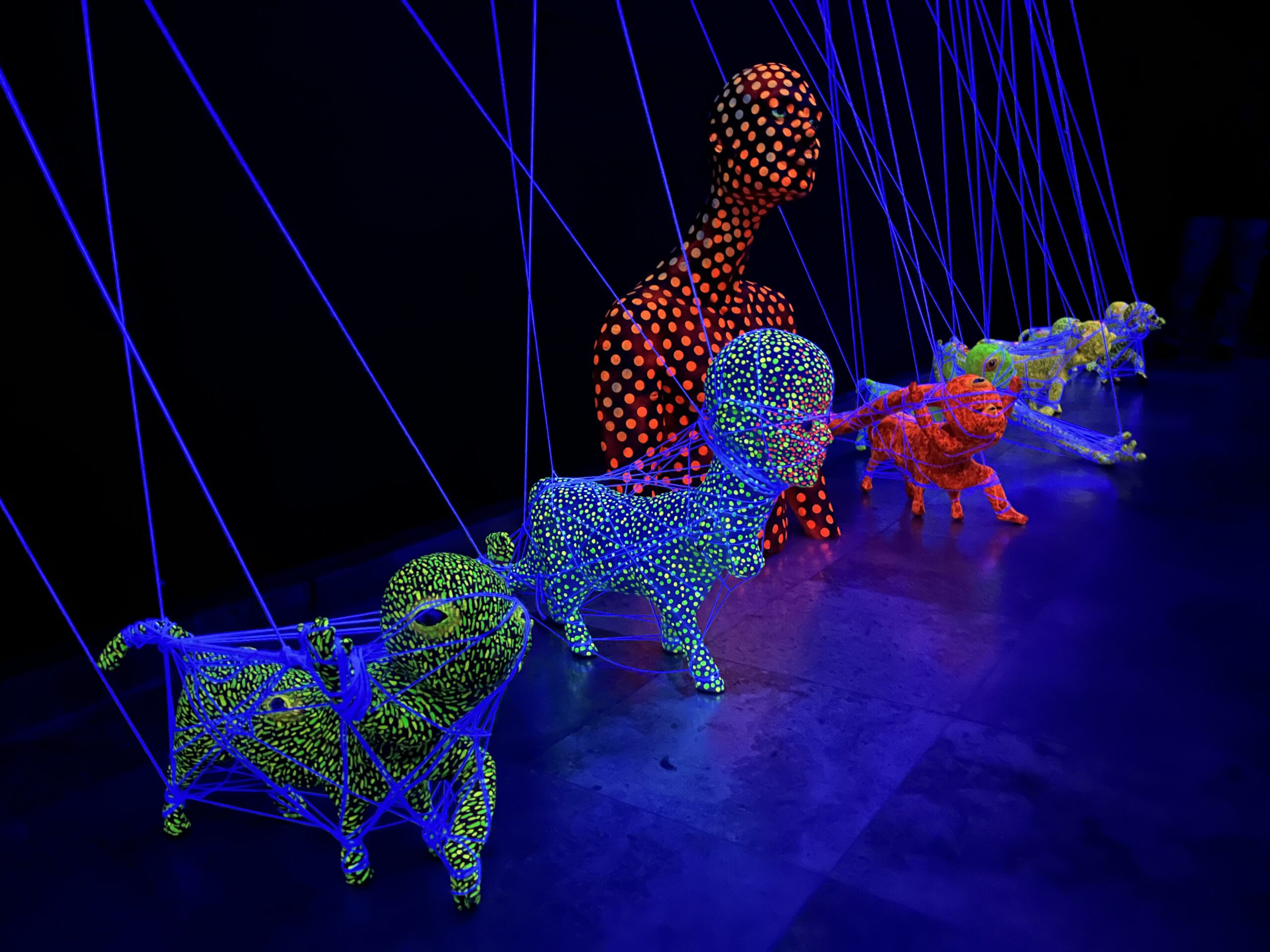 Inauguran con éxito “Transmutaciones” en el museo Federico Silva.
