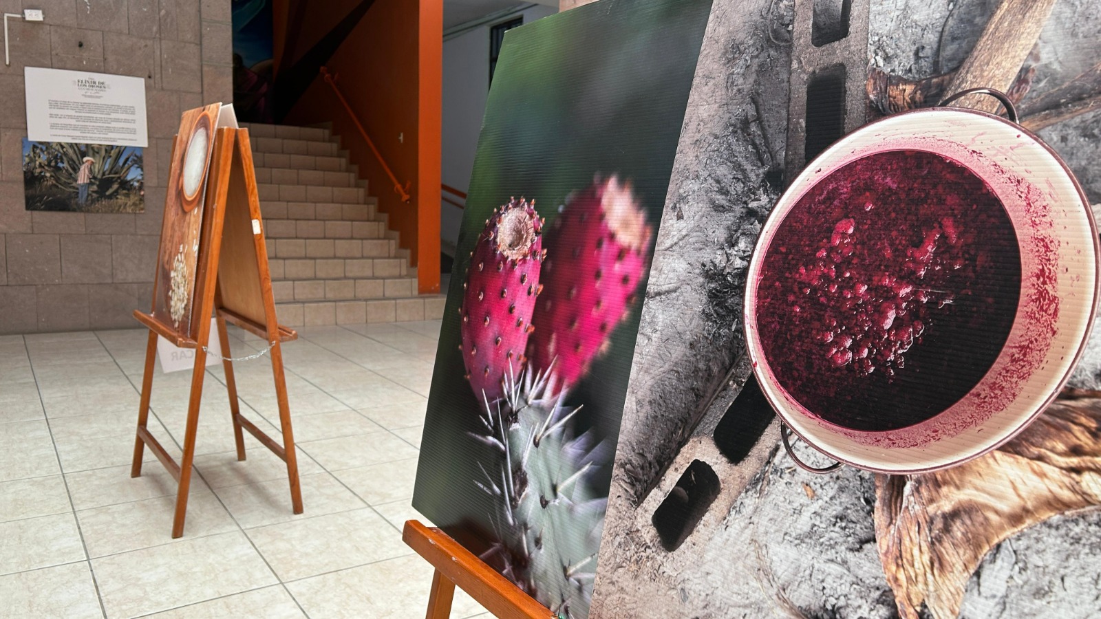 Exposición Fotográfica “del elixir de los dioses a la mezcalería”.