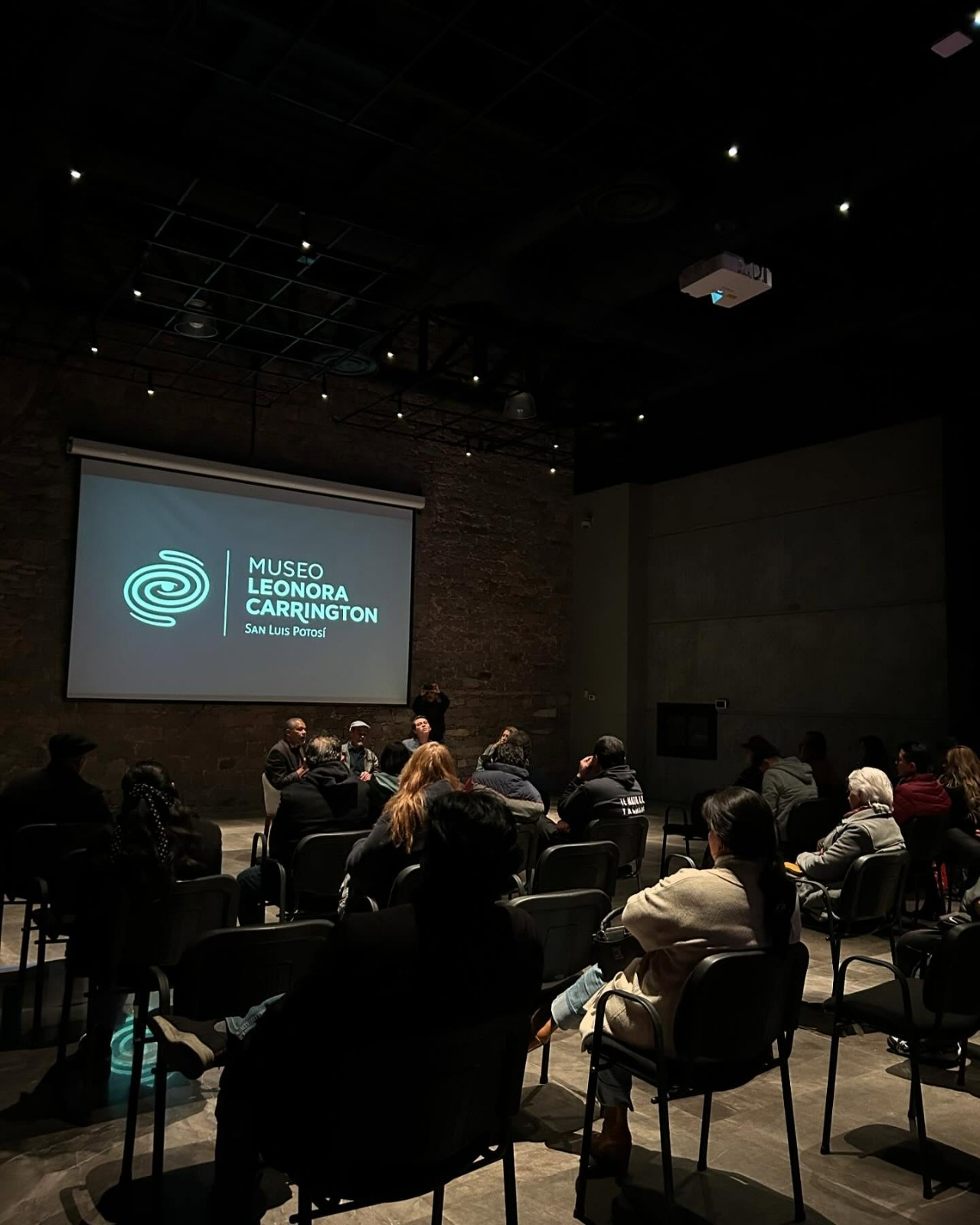 Noche de Vinilos en el museo Leonora Carrington.